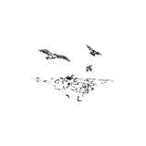 (Category: ) located in . Submitted by trippy (Listing ID 1347276257, Image 1). Description: .