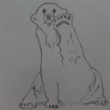 (Category: ) located in . Submitted by mrsjereguo (Listing ID 1375639596, Image 1). Description: .