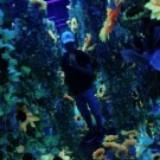 (Category: ) located in . Submitted by pixelatedstars (Listing ID 1385395871, Image 1). Description: .
