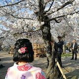 (Category: ) located in . Submitted by loozhiqian_1024 (Listing ID 1380471774, Image 1). Description: .