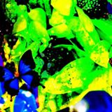 由 alleabw (刊登 ID 1380924948，圖片 1) 提交，位於 的 (類別：)，說明：。