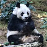 （分類：）位於 。 由 qrstfamily 提交（商品編號 1359892808，圖片 1）。簡介： 。