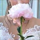 （分類：）位於 。 由 hotwifey 提交（商品編號 1379818818，圖片 1）。簡介： 。