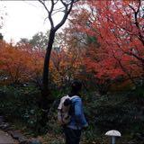 (Category: ) located in . Submitted by gerzld (Listing ID 1378387771, Image 1). Description: .