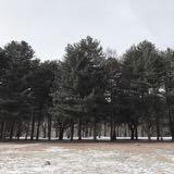 (Category: ) located in . Submitted by herens (Listing ID 1372145015, Image 1). Description: .