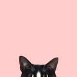 (Category: ) located in . Submitted by thumberpixie (Listing ID 1367721425, Image 1). Description: .