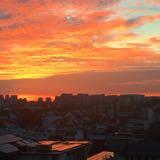 (Category: ) located in . Submitted by waanngg (Listing ID 1377927107, Image 1). Description: .