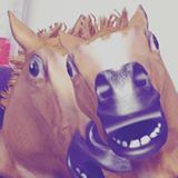 （分類：）位於 。 由 karryor 提交（商品編號 253950641，圖片 1）。簡介： 。