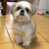 由 emma_fan (刊登 ID 1381956097，圖片 1) 提交，位於 的 (類別：)，說明：。