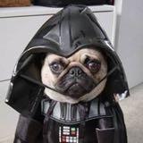 （分類：）位於 。 由 dcvader 提交（商品編號 1380200998，圖片 1）。簡介： 。