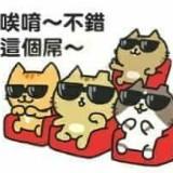 由 willie2 (刊登 ID 1267176180，圖片 1) 提交，位於 的 (類別：)，說明：。