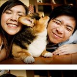 由 cheung33333 (刊登 ID 1365123334，圖片 1) 提交，位於 的 (類別：)，說明：。