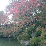 由 ronalia1112 (刊登 ID 1362462731，圖片 1) 提交，位於 的 (類別：)，說明：。