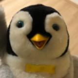 (Category: ) located in . Submitted by beaker77 (Listing ID 1384591962, Image 1). Description: .