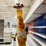 (Category: ) located in . Submitted by konglong (Listing ID 1344860528, Image 1). Description: .