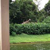 (Category: ) located in . Submitted by ssstarfish (Listing ID 1381731927, Image 1). Description: .