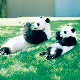 （分類：）位於 。 由 everythingbutture 提交（商品編號 1318142692，圖片 1）。簡介： 。
