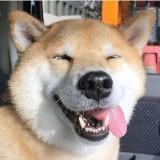（分類：）位於 。 由 cocomimia 提交（商品編號 1380022831，圖片 1）。簡介： 。