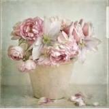 (Kategori: ) berada di . Dikirim oleh mrs.blossom (ID iklan 1303791977, Gambar 1). Deskripsi: .