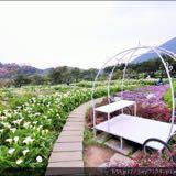 (Category: ) located in . Submitted by teo.y.hwa (Listing ID 1443579707, Image 1). Description: .