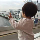 （分類：）位於 。 由 nihon.shop 提交（商品編號 1229572449，圖片 1）。簡介： 。