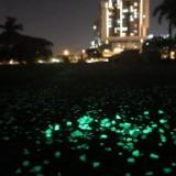 (Category: ) located in . Submitted by lin.weixiang.5 (Listing ID 1379822829, Image 1). Description: .