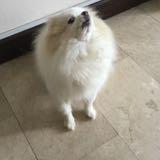 (Category: ) located in . Submitted by natener (Listing ID 1380314649, Image 1). Description: .