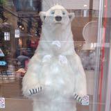 (Category: ) located in . Submitted by citromon_potpourri (Listing ID 167487625, Image 1). Description: .