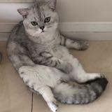 （分類：）位於 。 由 kakakaka._. 提交（商品編號 1375406127，圖片 1）。簡介： 。
