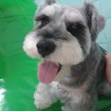 （分類：）位於 。 由 mcloud85 提交（商品編號 1385290481，圖片 1）。簡介： 。