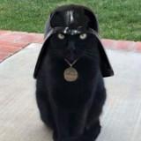 (Category: ) located in . Submitted by tango.mango (Listing ID 1380196270, Image 1). Description: .