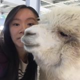 (分類:)位於 。 由 hcleevan 提交(商品編號 1409099080,圖片 1)。簡介: 。