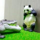 由 hsiao0604 (刊登 ID 1378090708，圖片 1) 提交，位於 的 (類別：)，說明：。