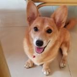 (Kategori: ) berada di . Dikirim oleh bellalunapreloved (ID iklan 1346859258, Gambar 1). Deskripsi: .