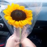 (Category: ) located in . Submitted by may.tag (Listing ID 1385947902, Image 1). Description: .