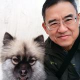由 196049wilson (刊登 ID 1364965688，圖片 1) 提交，位於 的 (類別：)，說明：。