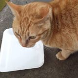 （分類：）位於 。 由 elodylau 提交（商品編號 1370659314，圖片 1）。簡介： 。