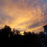 (Category: ) located in . Submitted by intan_nadhirah97 (Listing ID 1453023870, Image 1). Description: .