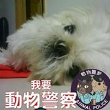 （分類：）位於 。 由 mouseling 提交（商品編號 1182687149，圖片 1）。簡介： 。