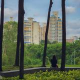 (Category: ) located in . Submitted by choonhtoohan (Listing ID 1363452513, Image 1). Description: .