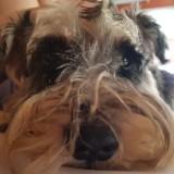 (Category: ) located in . Submitted by kidclouds (Listing ID 1380581501, Image 1). Description: .