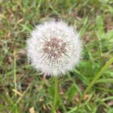 （分類：）位於 。 由 esmomya 提交（商品編號 1383109314，圖片 1）。簡介： 。