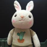 （分類：）位於 。 由 alice_wonderhouse 提交（商品編號 1138413276，圖片 1）。簡介： 。