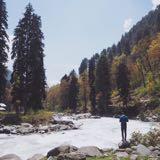 (Category: ) located in . Submitted by faiztalib (Listing ID 1210950127, Image 1). Description: .