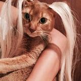 (Category: ) located in . Submitted by unicornie07 (Listing ID 1214799211, Image 1). Description: .