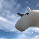（分類：）位於 。 由 mshunkaa 提交（商品編號 1383382141，圖片 1）。簡介： 。