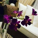 (Category: ) located in . Submitted by sweetsal (Listing ID 1063823967, Image 1). Description: .