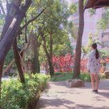 由 n_ng_ng (刊登 ID 1384735445，圖片 1) 提交，位於 的 (類別：)，說明：。