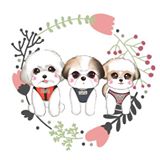 頭像
