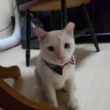 (Category: ) located in . Submitted by jojo_joget (Listing ID 1289994112, Image 1). Description: .